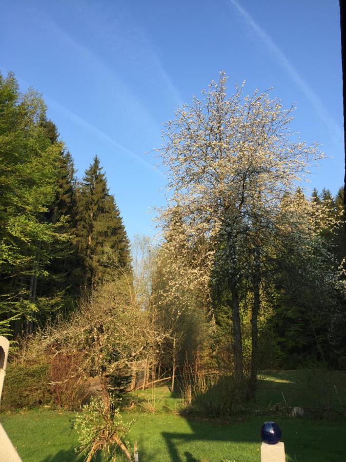 Das Alte Forsthaus Spiegelhuette Lindberg Eksteriør billede